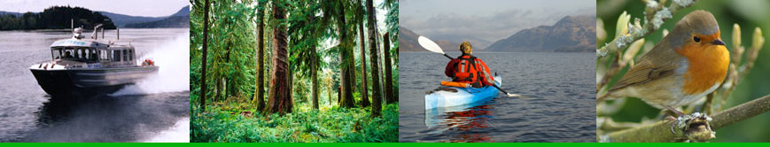 Collage of Kayak Transporter, Eco-tourism, Bird Watching, and Water Taxi